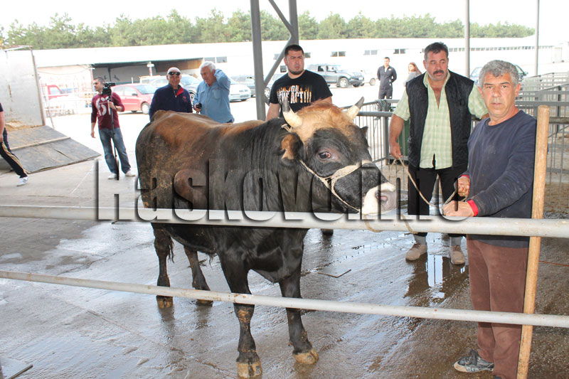 Курбан за бежанците
