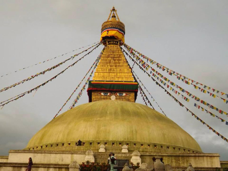 Гергана Дамянова