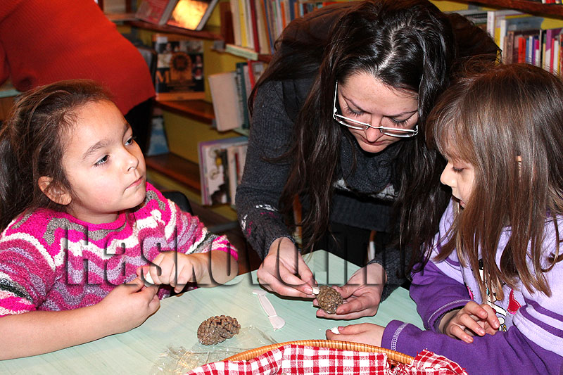 Библиотека