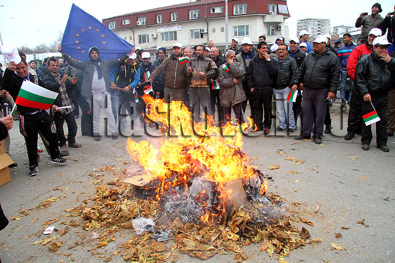 Протест на тютюнопроизводители