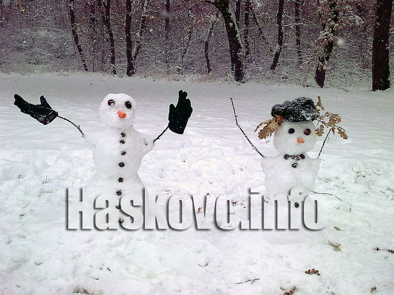 Влючените снежковци