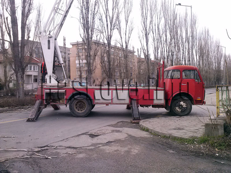 Санитарна сеч