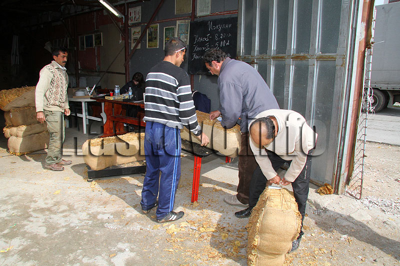 Изкупуването