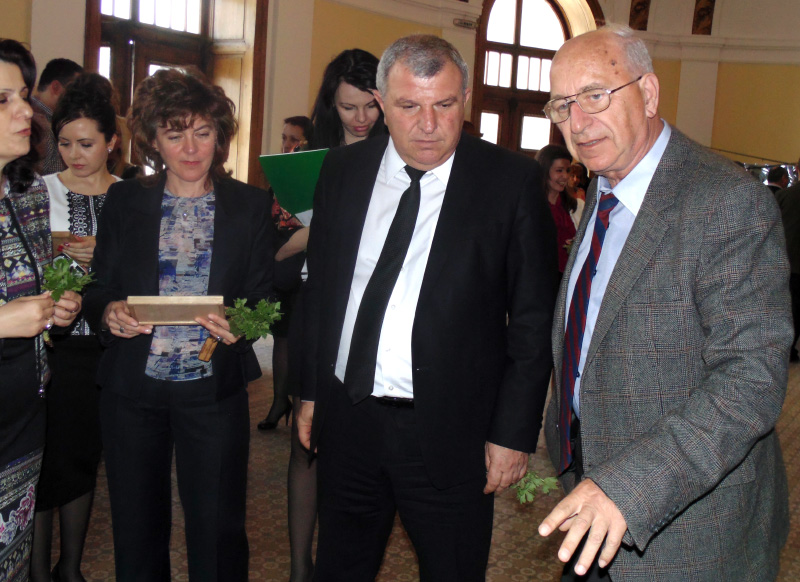 Гимназия Гимназия