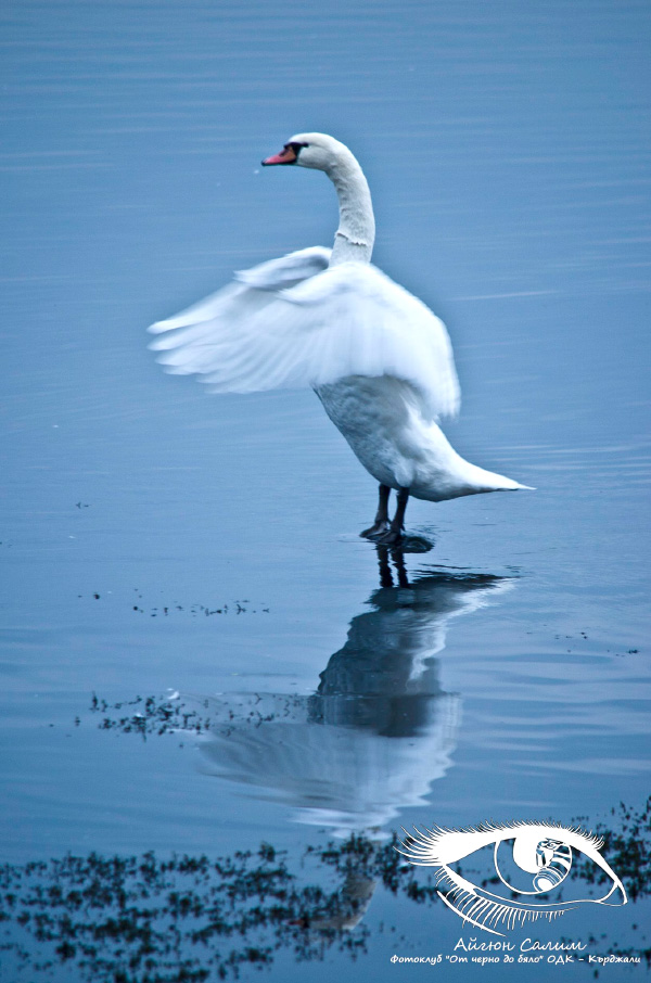 Фотоизложба