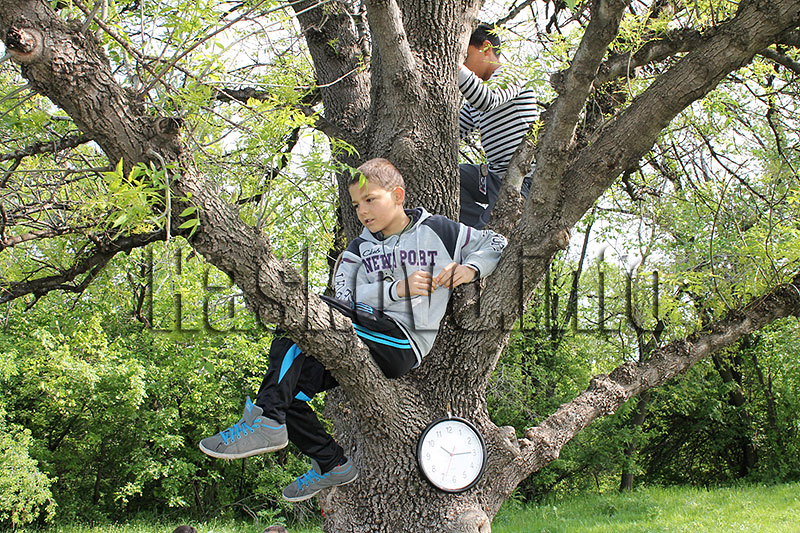 Ориентиране