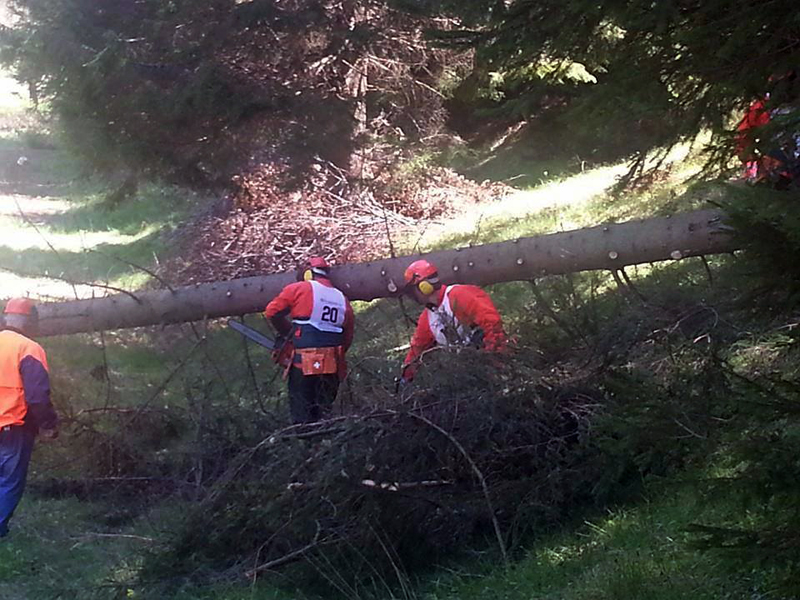 Състезанието