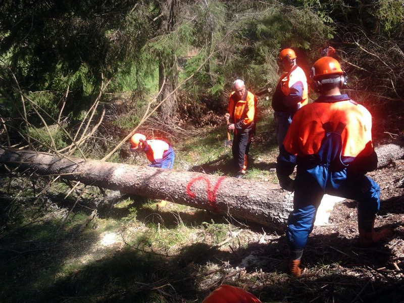 Състезанието
