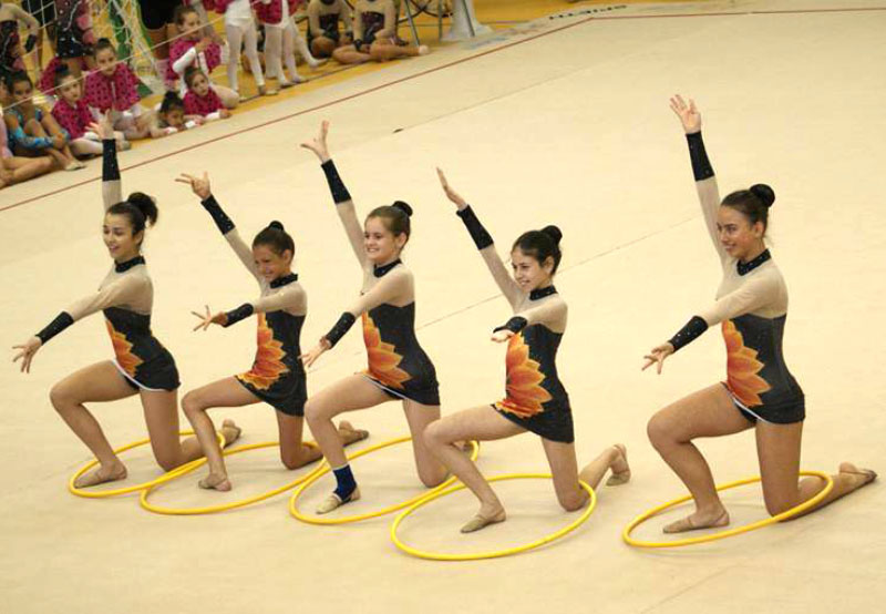 Гимнастички