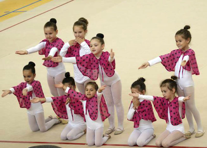 Гимнастички Гимнастички