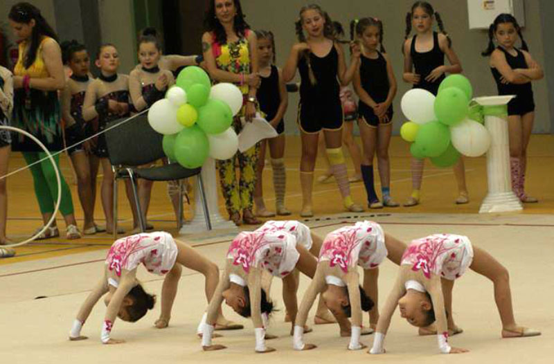 Гимнастички Гимнастички