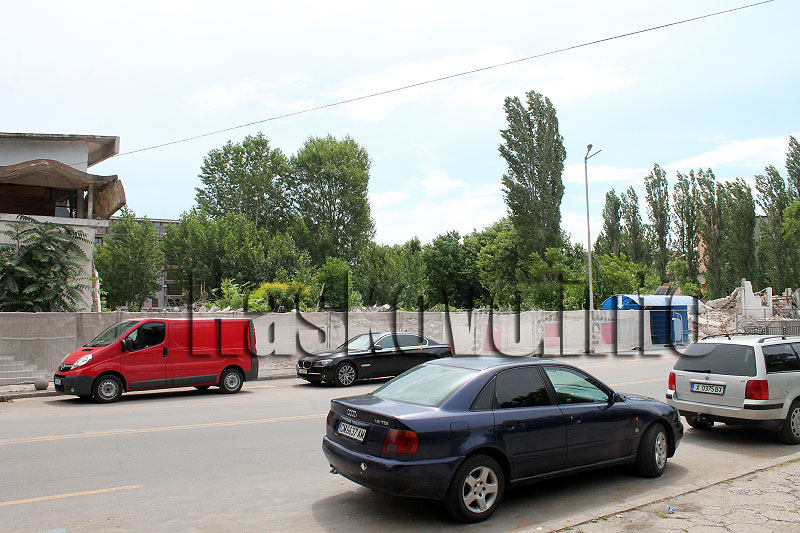 Лебеда Лебеда