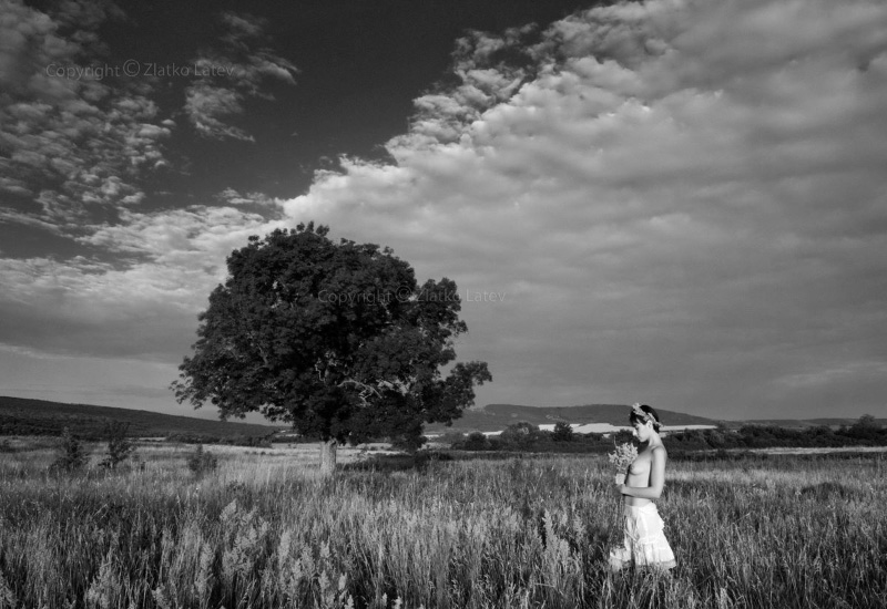 Фотография