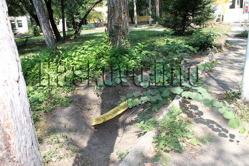 Протест Протест