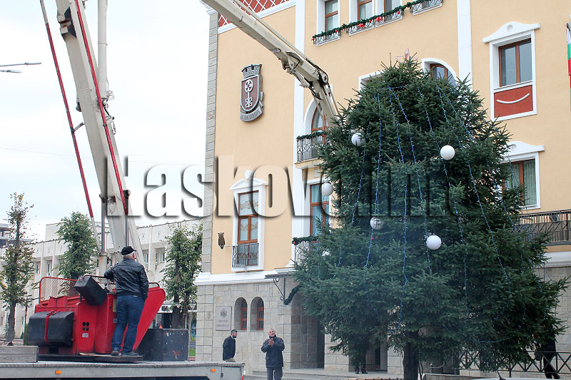 Украса Украса