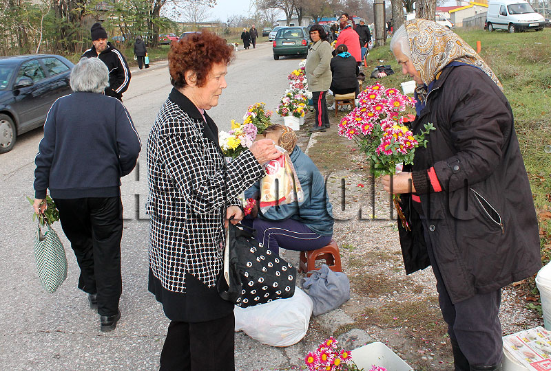 Задушница Задушница