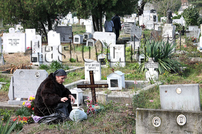 Задушница Задушница