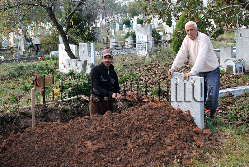Задушница Задушница