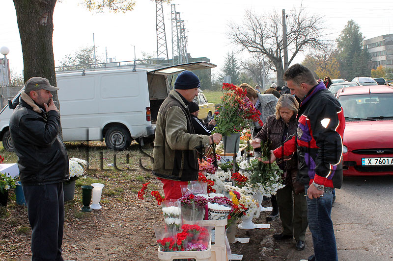 Задушница Задушница