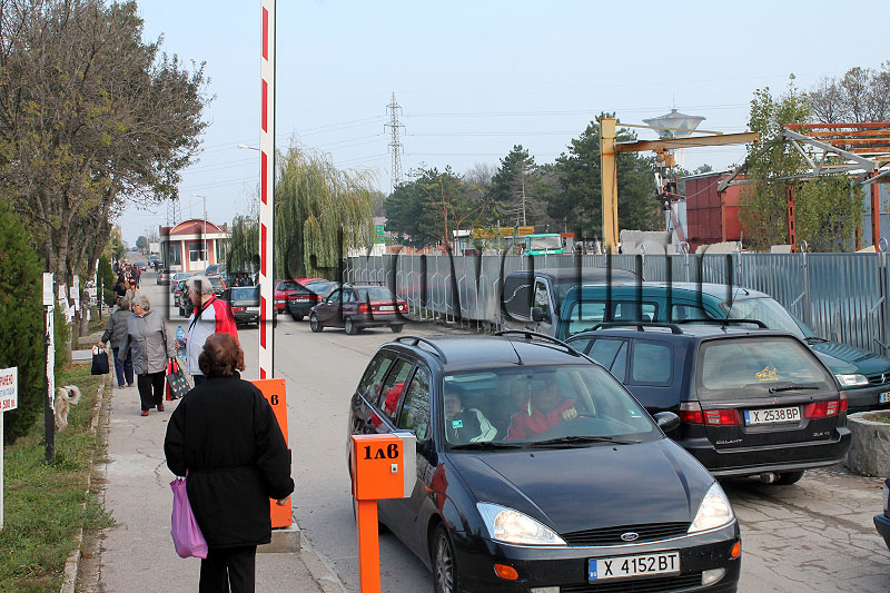 Задушница Задушница