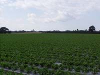 Илюстрация