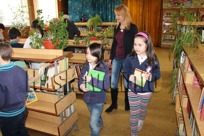 Библиотека