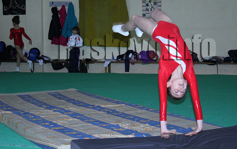 Гимнастички Гимнастички