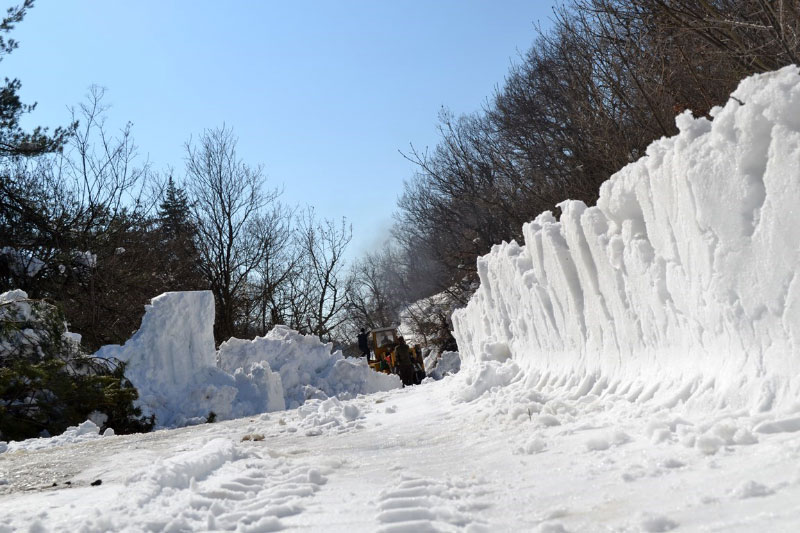 Илюстрация