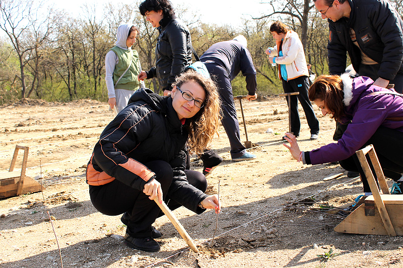 Залесяване