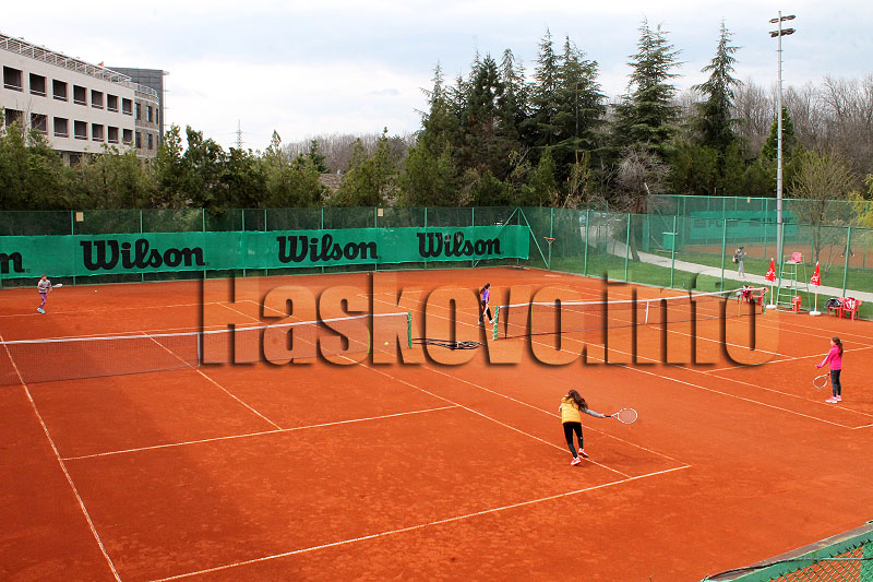 Тенис Тенис