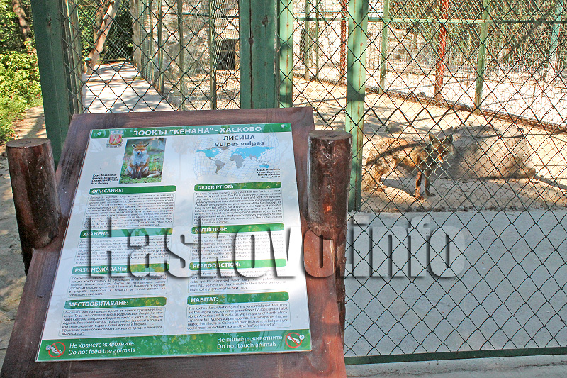 Табели Табели