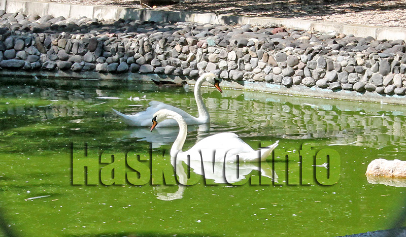 Табели Табели