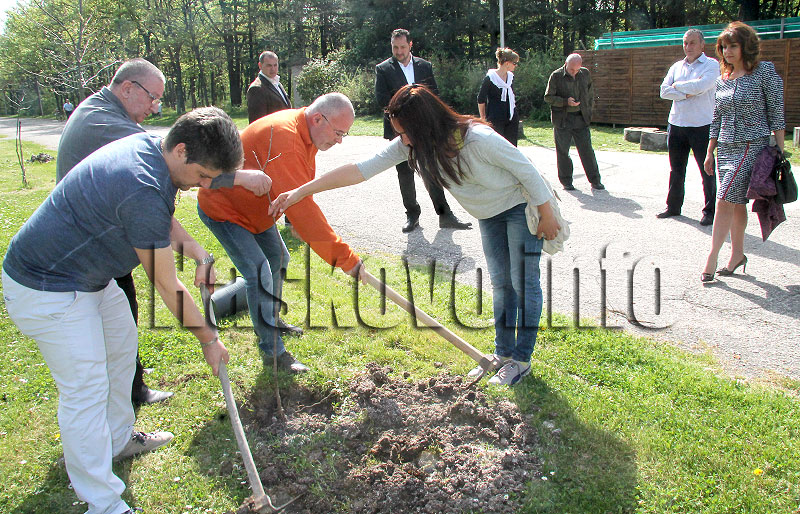 Залесяване