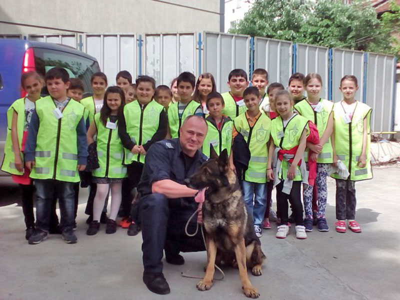 Демонстрации