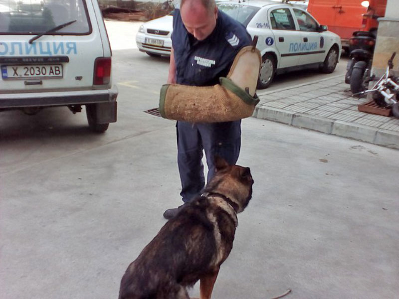 Демонстрации