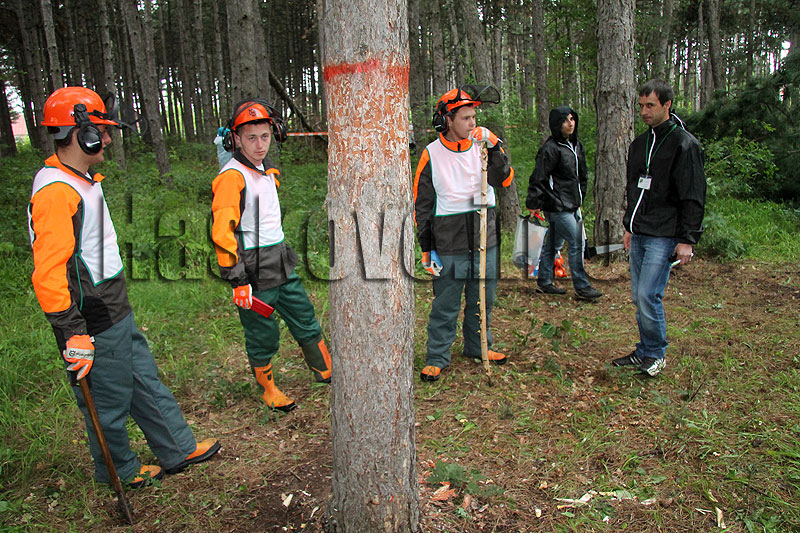 Състезание