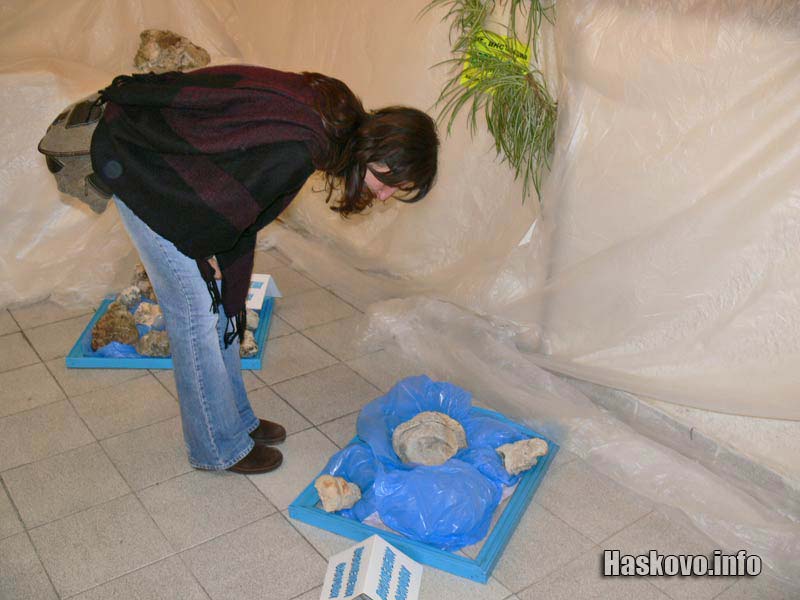 Вкаменелости Вкаменелости