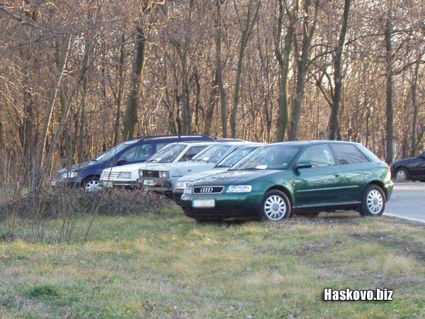 Автомобили в парка