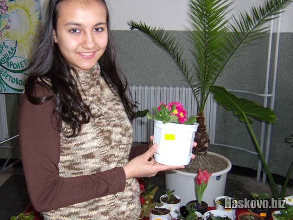 Едно от цветята в изложбата, което ще украси офиса на Haskovo.biz