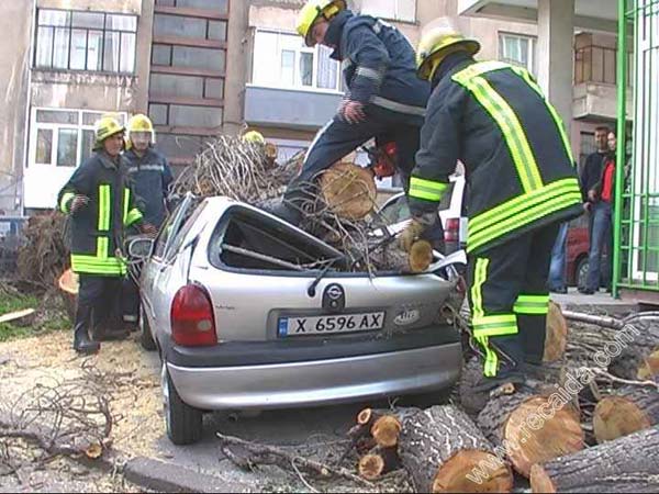 Снимка: ТВ Рекординг Аида