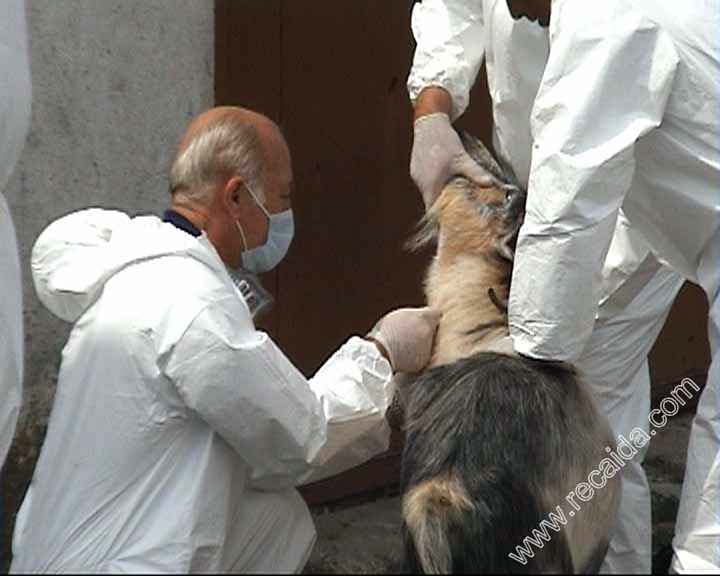 Снимка: ТВ Рекординг Аида