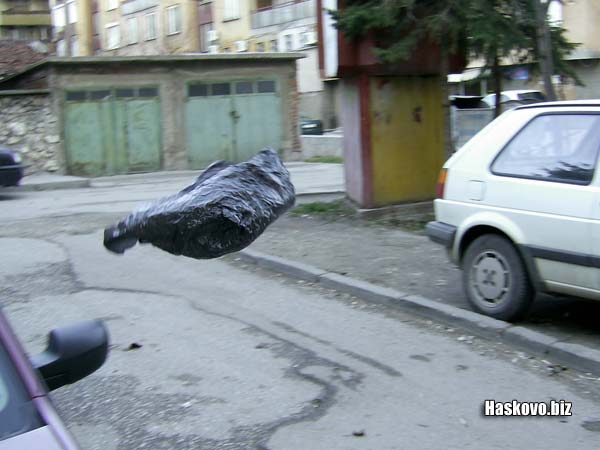 Често срещана гледка по хасковските улици бяха летящи торбички