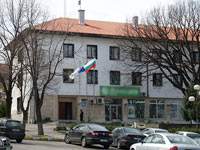 Община Минерални бани