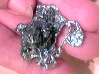 Куршум, снимка Лечител инфо