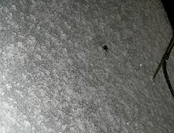 Сняг в Хасково