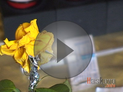 За автаназията