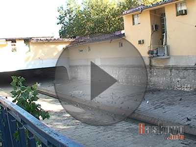 Масова смърт на гълъби