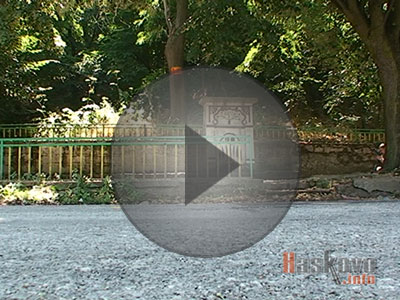 Смърт от киселина