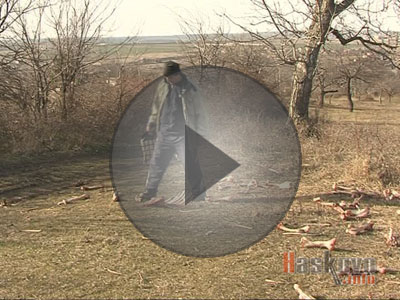 Нива с кокали