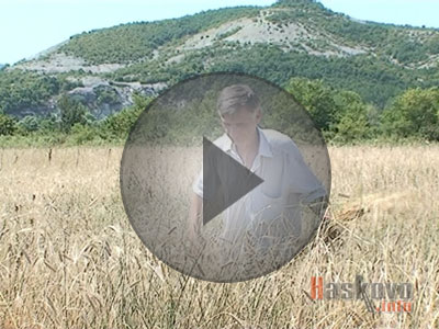 Лимецът - храна на боговете